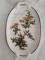 Villeroy & Boch, plat de service 16x26