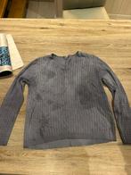 Trui, Vêtements | Hommes, Pulls & Vestes, Enlèvement, Porté, Taille 52/54 (L), Gris