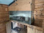 Glas aquarium, Ophalen, Gebruikt, Leeg aquarium
