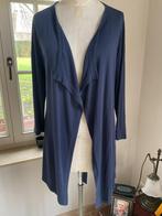 Tricotvest Max Mara Weekend , maat 42, Kleding | Dames, Truien en Vesten, Blauw, Maat 42/44 (L), Ophalen of Verzenden