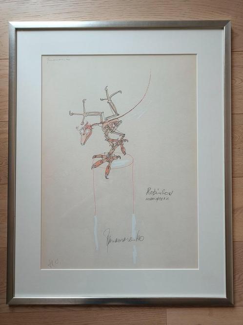 Panamarenko - Robinson Archaiopteryx, Antiquités & Art, Art | Lithographies & Sérigraphies, Enlèvement ou Envoi
