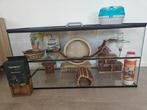 Starterspakket Gerbils: Gerbilarium 100x40x50, Dieren en Toebehoren, Knaagdieren en Konijnen | Hokken en Kooien, Zo goed als nieuw