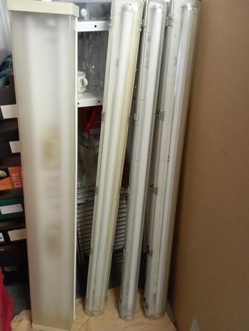 set van 4 neonlampen 150 cm beschikbaar voor biedingen