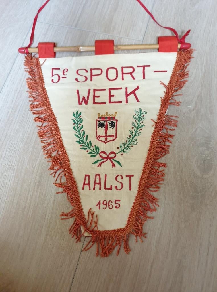 Wimpel Stad Aalst 1965, Diversen, Vlaggen en Wimpels, Ophalen of Verzenden