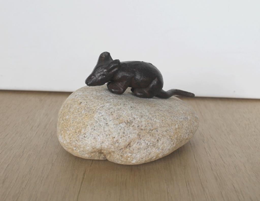Gietijzeren muisje 'on the rocks', Ophalen of Verzenden, Zo goed als nieuw, Metaal, Dierenbeeld