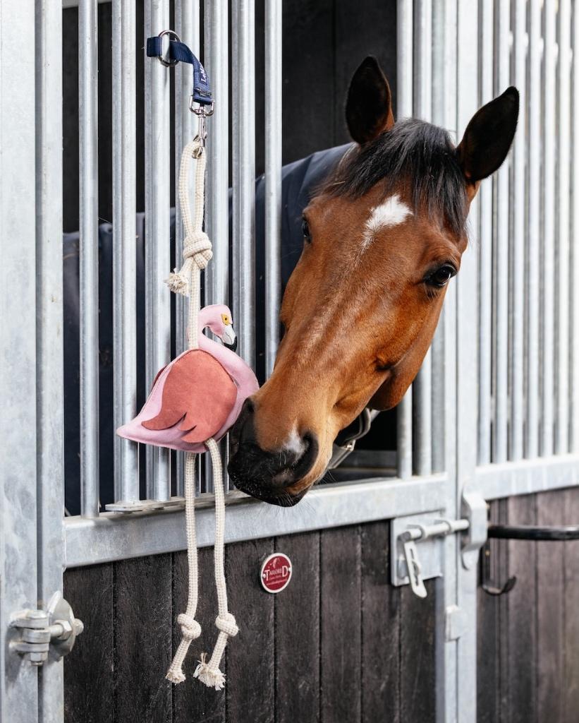 LeMieux Horse Toy Flamingo Paarden speelgoed SALE, Dieren en Toebehoren, Paarden en Pony's | Verzorgingsproducten, Nieuw, Ophalen of Verzenden