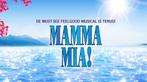 1 ticket gezocht voor mamma Mia 15 april Gent, Ophalen