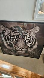Cadre photo avec une jeune tête de tigre. 1m20 par 1m20. Par, Enlèvement