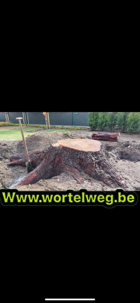 Stronkenfrees huren of laten uitvoeren wortelweg, Enlèvement ou Envoi, Comme neuf