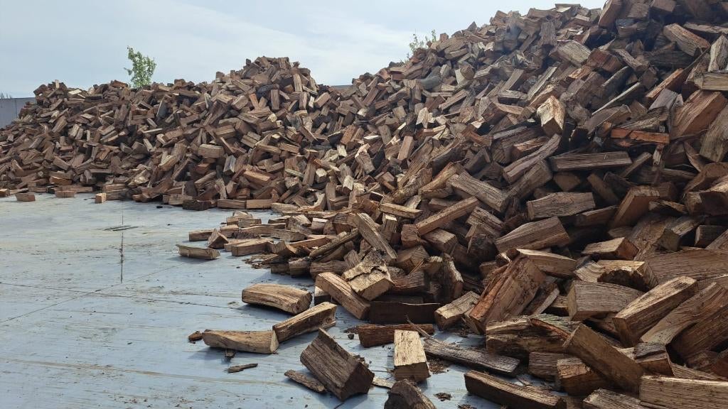 Brandhout BEUK/EIK + gratis aanmaakhout!, Jardin & Terrasse, Bois de chauffage, Bûches, Enlèvement