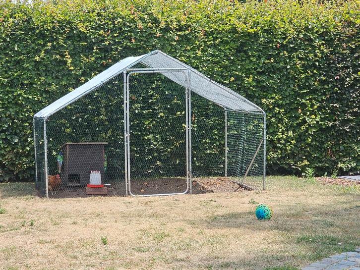 Metalen ren voor kippen, konijnen etc van 3 x 2 x 2m, Animaux & Accessoires, Rongeurs & Lapins | Cages & Clapiers, Utilisé, Niche
