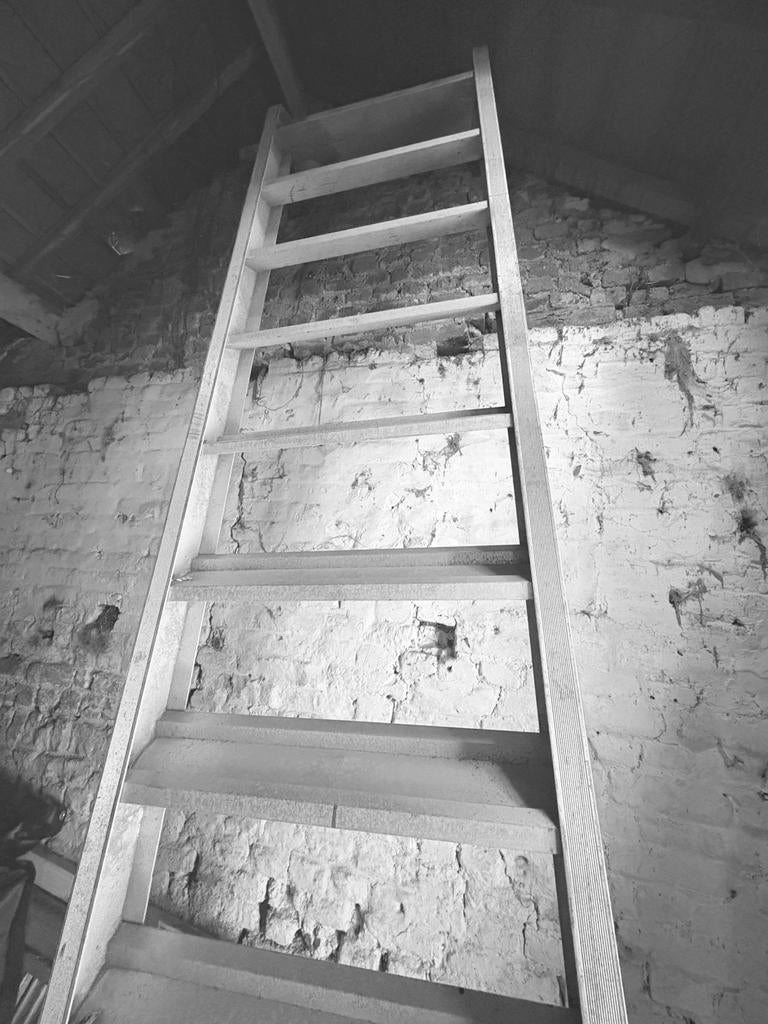 Escalier echafaudage/ escalier aluminium, Enlèvement, Comme neuf, Escalier