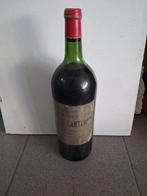 CANTANAC Margaux 1981 ☆Magnum☆, Collections, Enlèvement