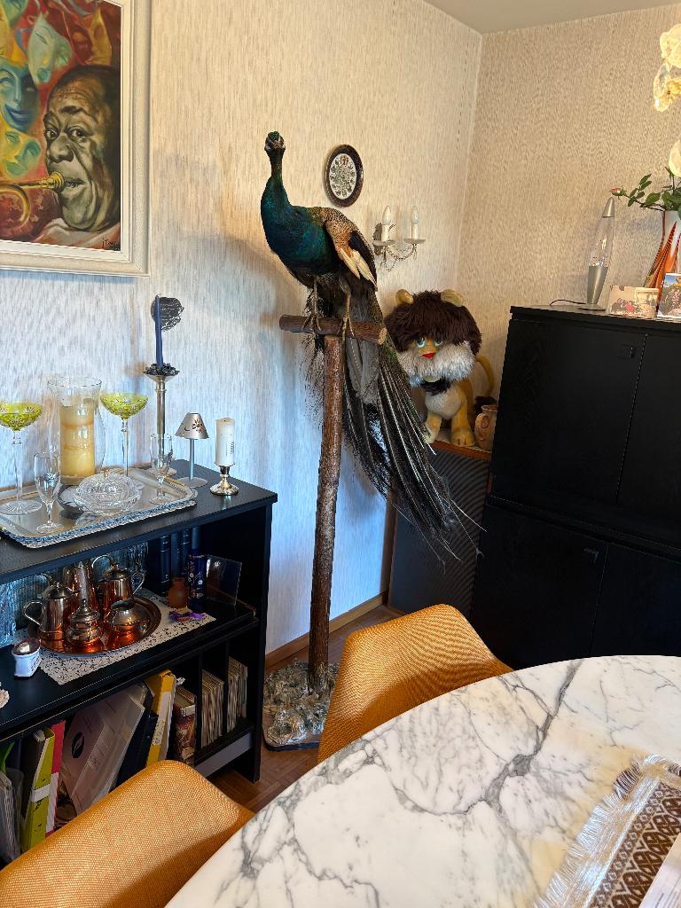 Magnifique paon en peluche — vintage eyecatcher, Antiquités & Art, Enlèvement