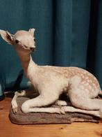 Opgezet jong damhertje, Verzamelen, Ophalen of Verzenden, Zo goed als nieuw, Hert, Opgezet dier