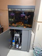 L046 kweekgroepen, Enlèvement