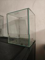 Terrarium en verre porte Guillotine, Enlèvement, Comme neuf, Terrarium ou Paludarium