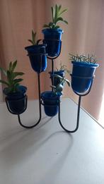 metalen staander met glazen potjes + vetplantjes hoogte 30cm, Enlèvement