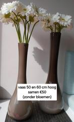 2 vazen Leonardo, Ophalen