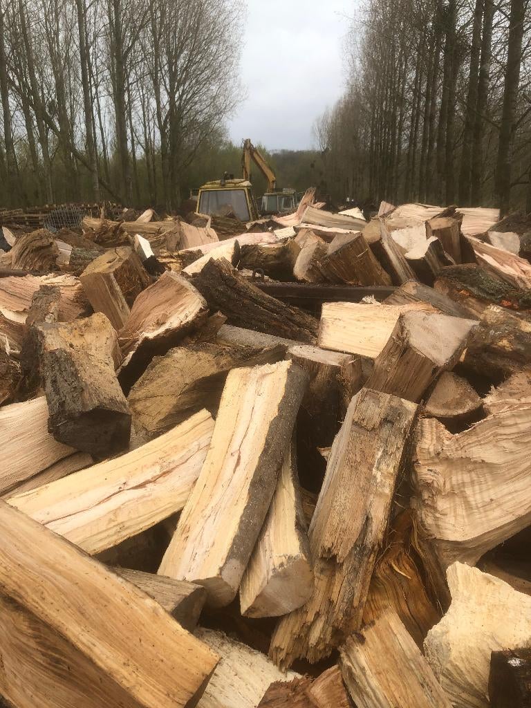 bois de chauffage, Jardin & Terrasse, Bois de chauffage, Enlèvement ou Envoi, Hêtre, Bûches
