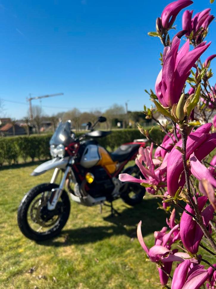 Moto Guzzi V85TT Evocative, Motos, Motos | Moto Guzzi, Entreprise, Poignées chauffantes, Enlèvement