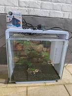 Aquarium Superfish 40L, Dieren en Toebehoren, Ophalen