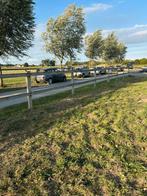 Weide afsluiting cambridge, Weidegang