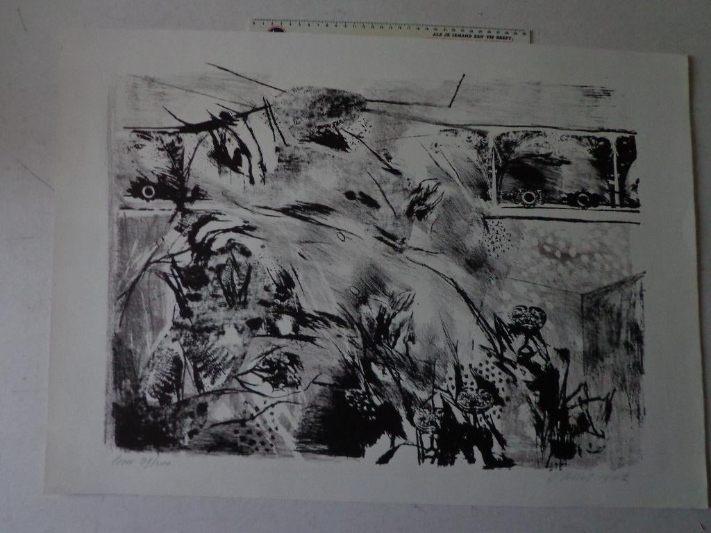 grote litho van Pierre Vlerick uit 1967 getiteld "Ava", Antiquités & Art, Enlèvement