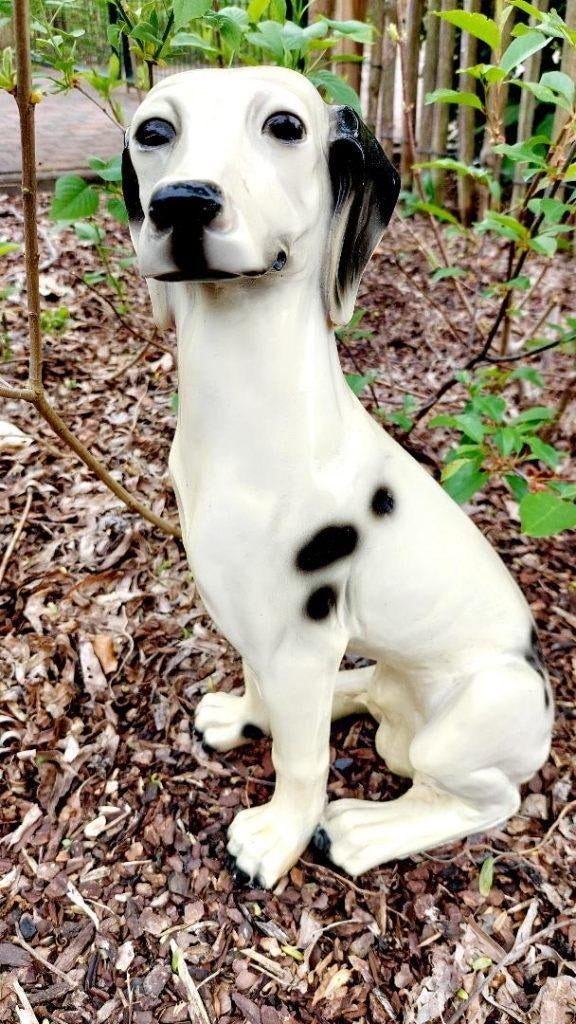 Standbeeld gevlekte hond (tvv Dierenasiel Genk), Jardin & Terrasse, Statues de jardin, Comme neuf, Animal, Enlèvement