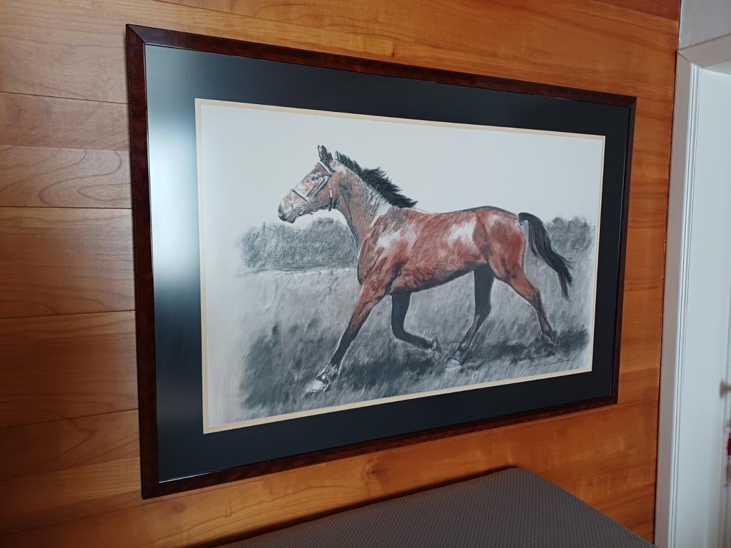 Ingelijste pasteltekening, Antiquités & Art, Art | Dessins & Photographie, Enlèvement