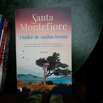 santa montefiore - onder de ombu boom beschikbaar voor biedingen