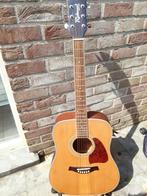 Richwood guitar rd 17c strikt nieuwstaat, Ophalen, Zo goed als nieuw
