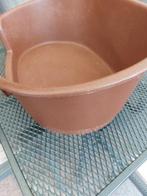 Kleine hondenmand, Enlèvement