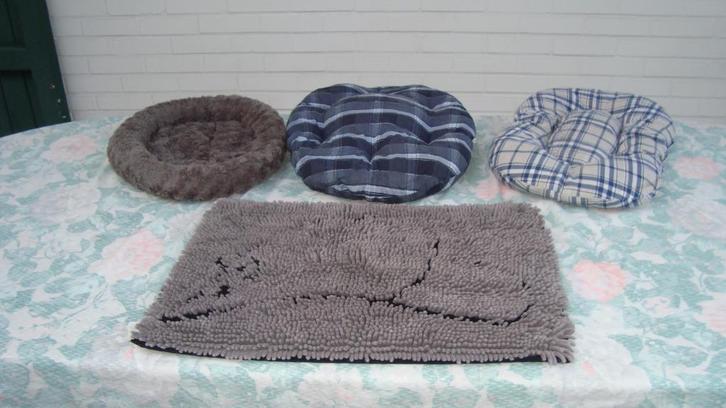 Katten accessoires, Dieren en Toebehoren, Katten-accessoires, Gebruikt, Ophalen of Verzenden