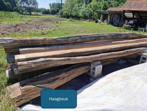 Haagbeuk balk, Doe-het-zelf en Bouw, Hout en Planken, Nieuw, Balk, Beuken, 300 cm of meer, 25 tot 50 mm, Ophalen