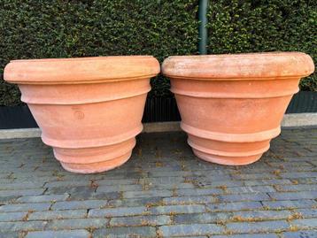 Hele Grote Extreem Exclusieve Impruneta Terracotta Bloempot beschikbaar voor biedingen