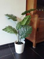 Kunstplant, Plante verte, Palmier, Enlèvement, Moins de 100 cm