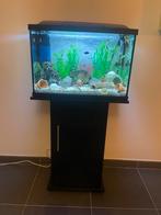 Compleet superfish aquarium met toebehoren en veel decoratie, Ophalen, Zo goed als nieuw