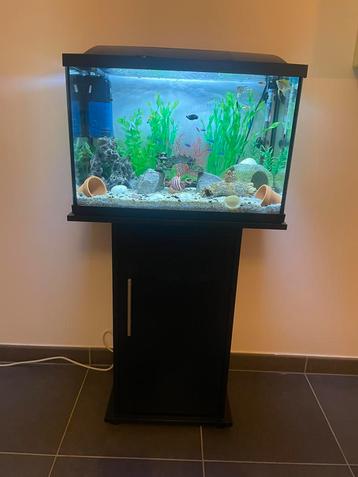 Compleet superfish aquarium met toebehoren en veel decoratie beschikbaar voor biedingen