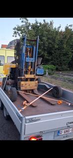 Kooiaap, Enlèvement