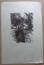 MARTIN BAEYENS / LOT VAN 2 STUKS / ZW-W LITHO / 51x34cm SIG, Enlèvement ou Envoi