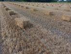 Kleine balen stro, Dieren en Toebehoren, Ophalen