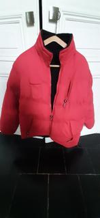Blouson de ski, Ophalen, Zo goed als nieuw, Maat 52/54 (L), Jack