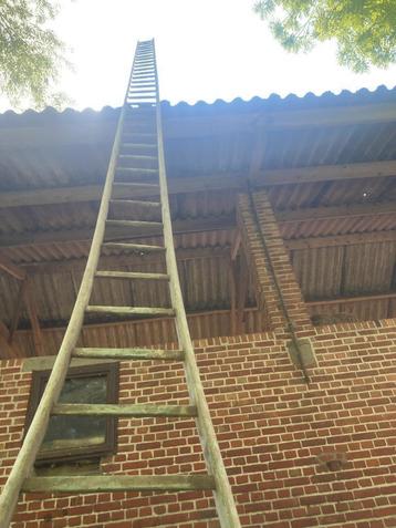 stevige, houten ladder, fruitladder (hoogstamfruitbomen) beschikbaar voor biedingen