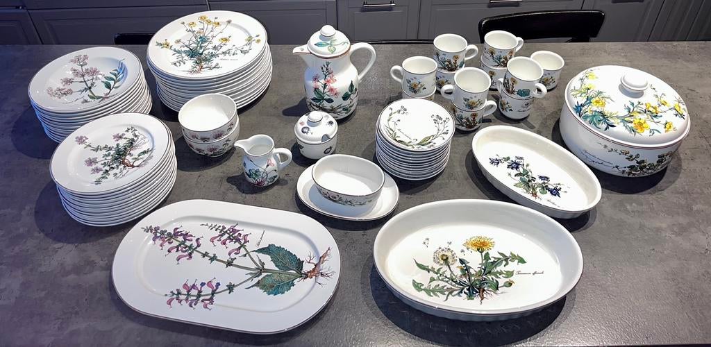 Villeroy & Boch Botanica 69-delige set., Antiek en Kunst, Antiek | Servies compleet, Ophalen