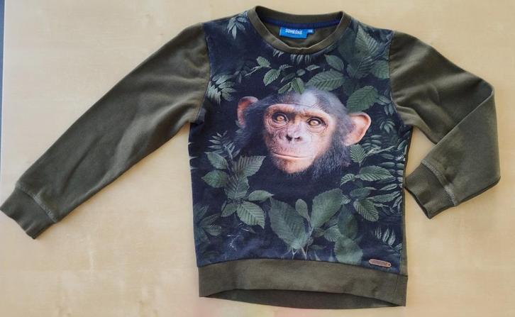 Mooie kaki trui aap (someone), maat 128, Kinderen en Baby's, Kinderkleding | Maat 128, Zo goed als nieuw, Jongen, Trui of Vest