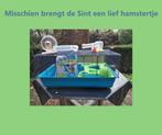 Hamsterkooi Savic met  hamsterspeelgoed en pak hamsterkatoen, Kooi, Zo goed als nieuw, Hamster, 75 tot 110 cm
