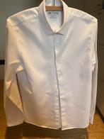 Chemise blanche classique, Vêtements | Hommes, Chemises, Enlèvement ou Envoi, Comme neuf, Blanc