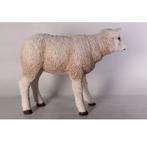 Texelaar Lam – Schaap beeld Lengte 58 cm, Ophalen, Nieuw