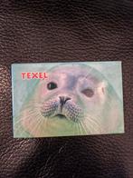 Magneet Texel - zeehond, Ophalen of Verzenden